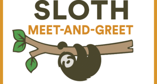 Museum of Discovery and Science’s Slow Down with Sloths: VIP Breakfast & Meet-and-Greet