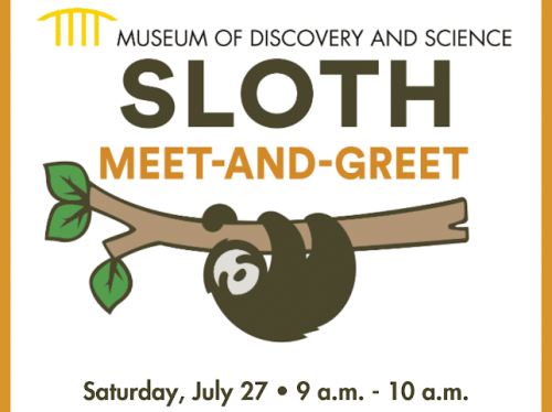 Museum of Discovery and Science’s Slow Down with Sloths: VIP Breakfast & Meet-and-Greet