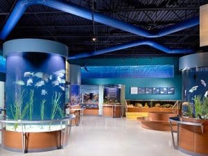 South Florida Science Center, West Palm Beach Attractions
