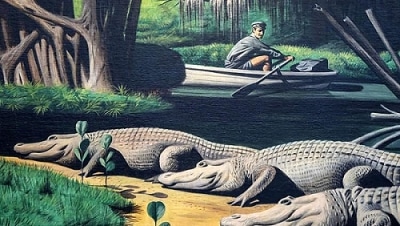 The Barefoot Mailman and Alligators