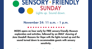 Sensory-Friendly Sundays at Museum of Discovery & Science