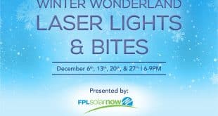 WINTER WONDERLAND LASER LIGHTS & BITES